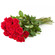 red roses. Krasnoyarsk