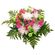 bouquet of mums and carnations. Krasnoyarsk