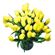 yellow tulips. Krasnoyarsk