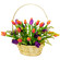 mixed color tulips in a basket. Krasnoyarsk