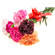 Mixed Color Carnations. Krasnoyarsk